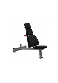 NEW ADJUSTABLE WEIGHT BENCH