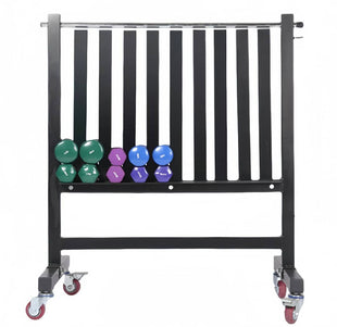 AEROBIC DUMBBELL RACK