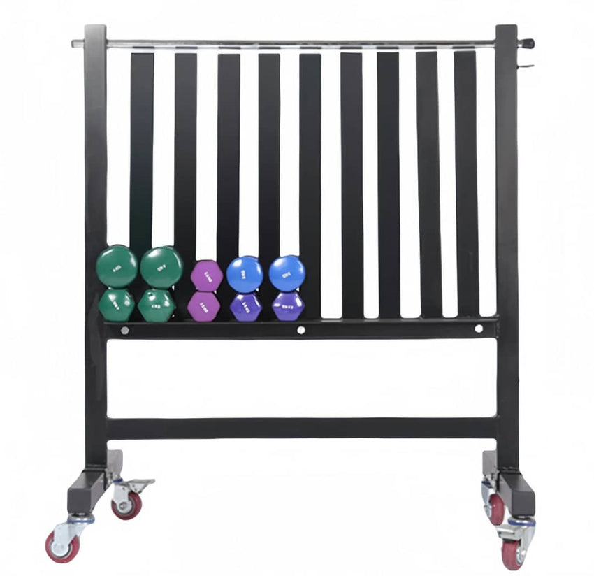 AEROBIC DUMBBELL RACK