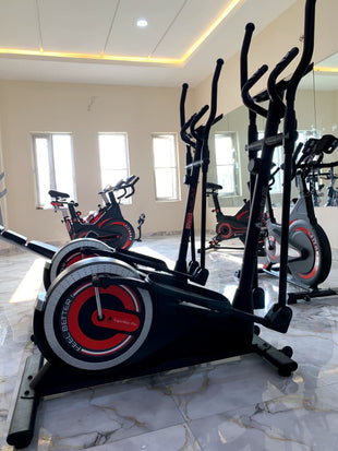 BIG VERTICAL ELLIPTICAL BIKE