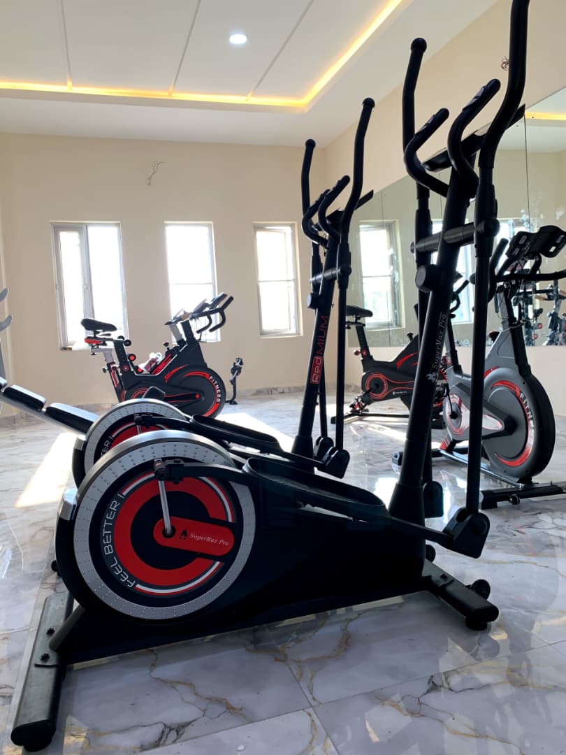 BIG VERTICAL ELLIPTICAL BIKE