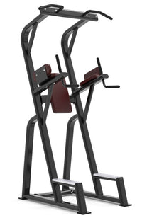 KNEE UP/ CHIN UP MACHINE