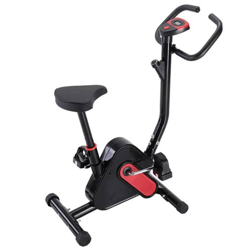 MAGNETIC BIKE