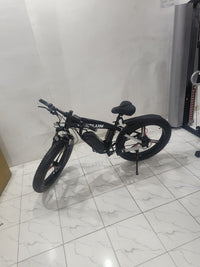 ELECTRONIC FAT TYRE BIKE