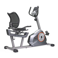 BIG RECUMBENT BIKE